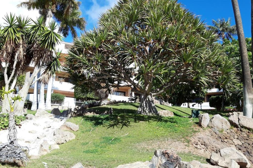 Apartment With Pool And Gardens Near The Coast San Miguel de Abona Buitenkant foto