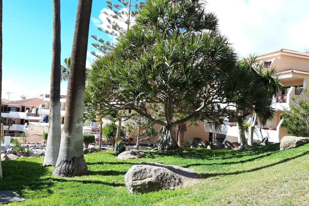 Apartment With Pool And Gardens Near The Coast San Miguel de Abona Buitenkant foto