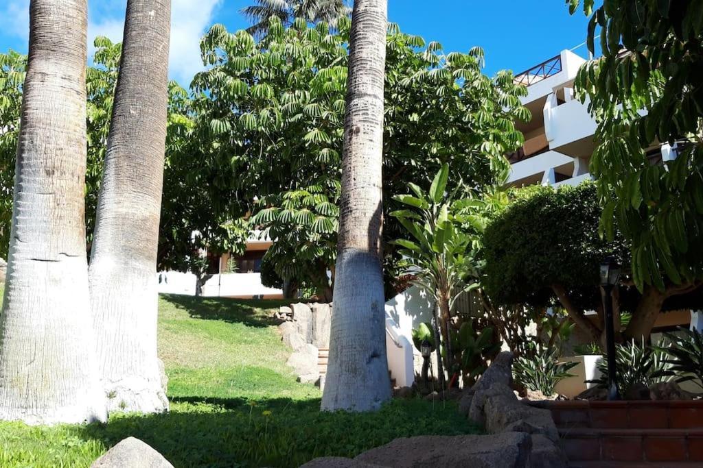 Apartment With Pool And Gardens Near The Coast San Miguel de Abona Buitenkant foto